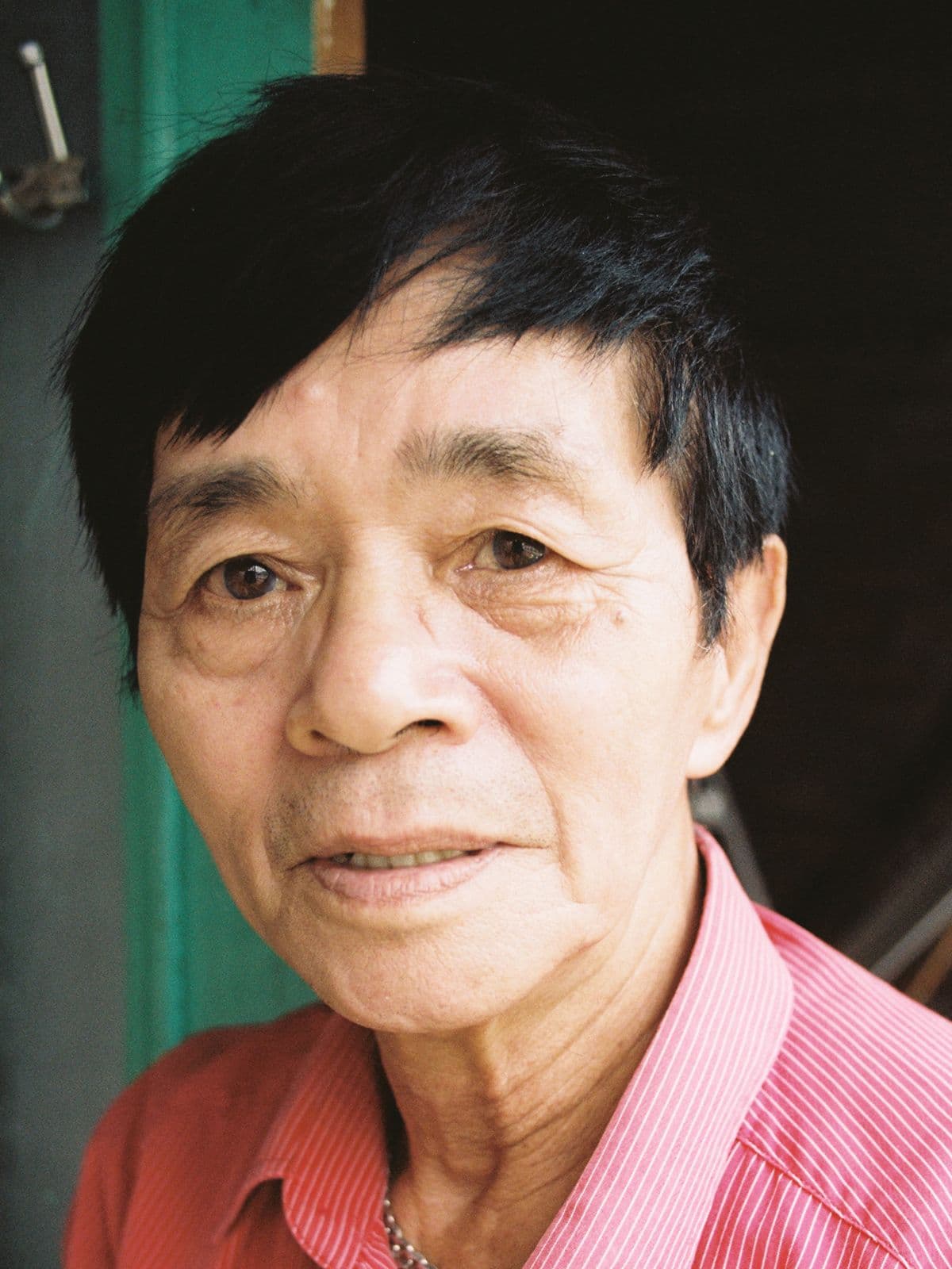 Viet Tung Le