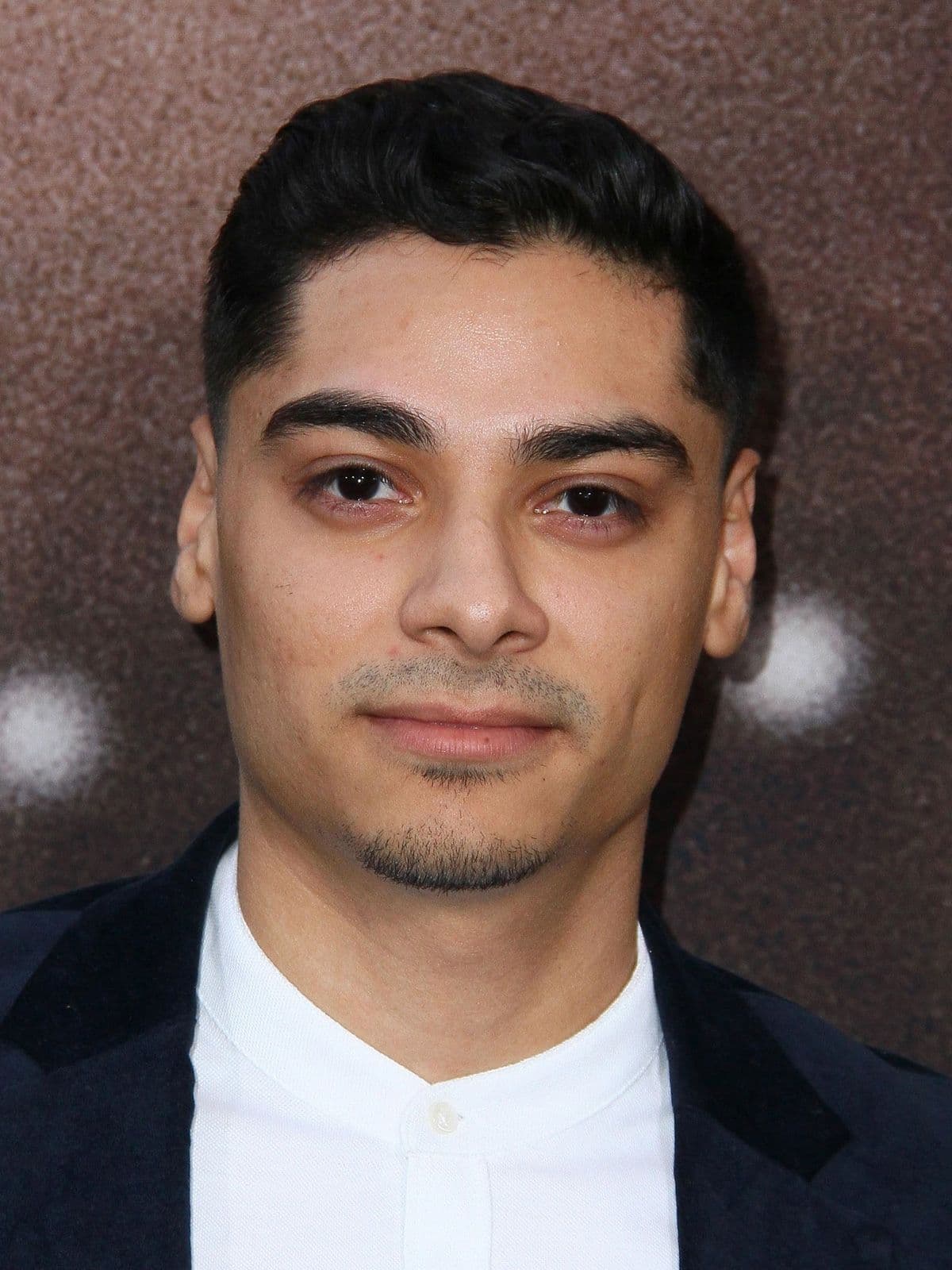 Fernando Luis Vega