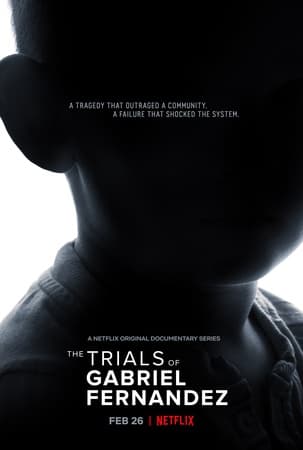 Crime Chronicles: True California Cases on Screen