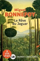 Le rêve du jaguar - Cover