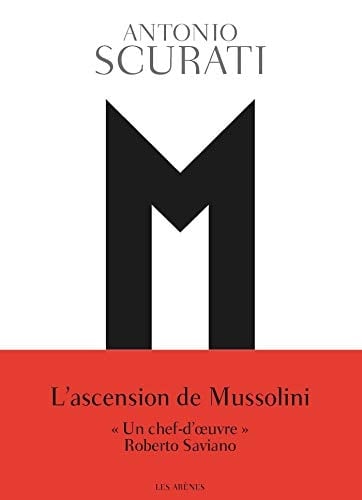 M, l'enfant du siècle - Cover