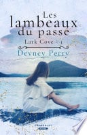 Les lambeaux du passé - Cover