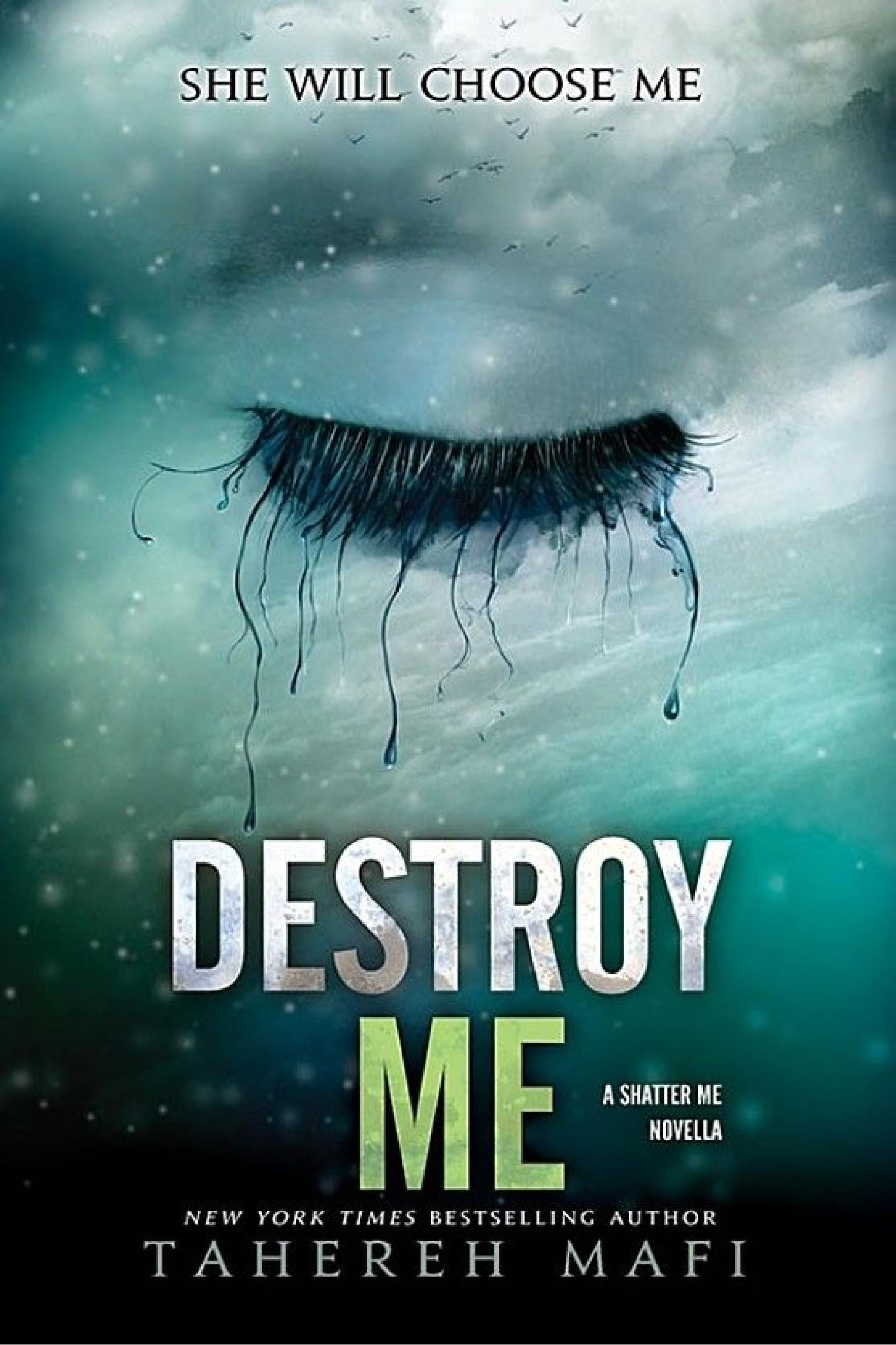 Destroy Me - Cover