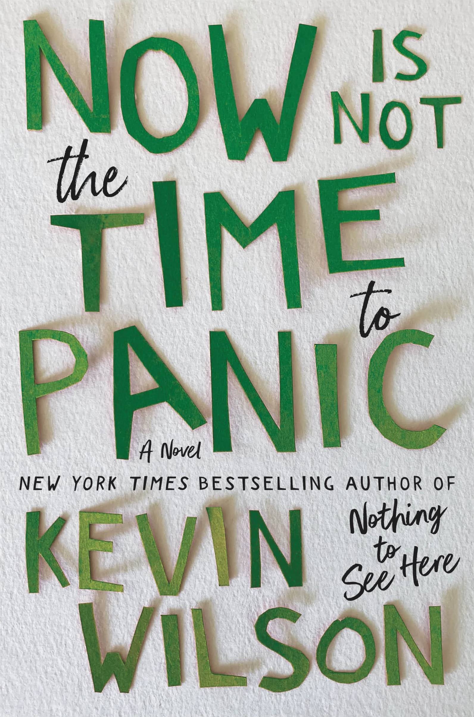 Now Is Not the Time to Panic - Cover