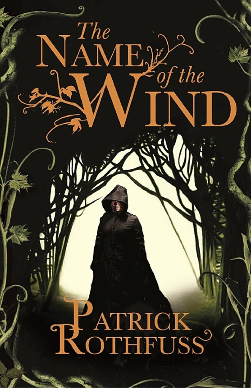 The Name of the Wind - Cover