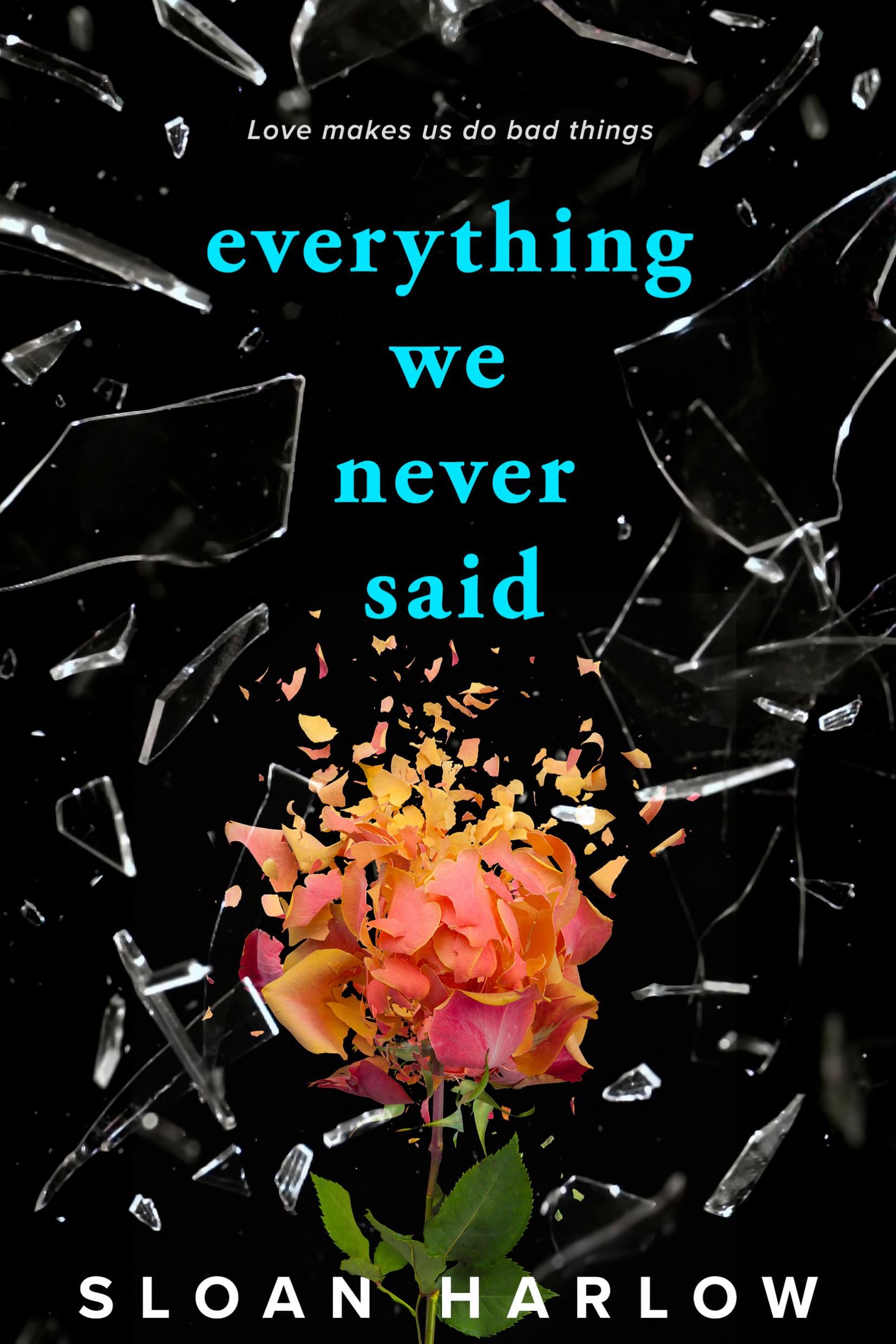 Everything We Never Said - Cover