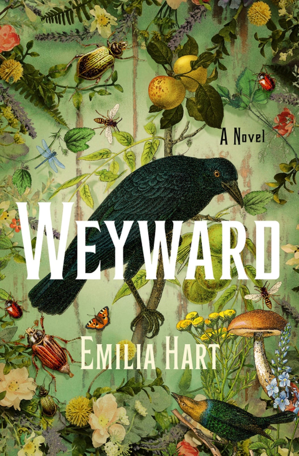 Weyward - Cover