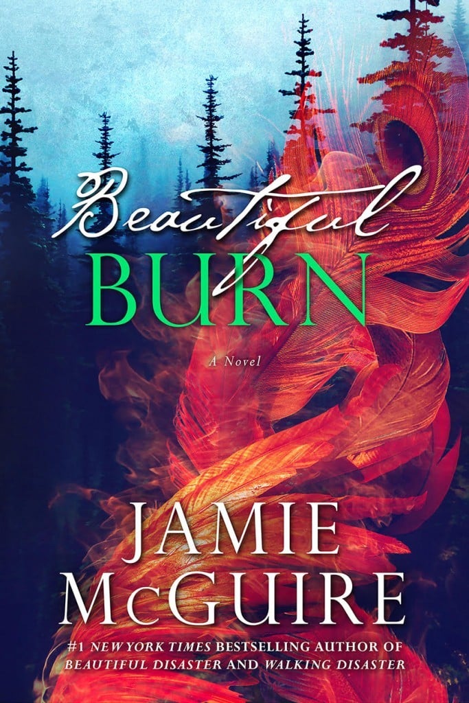 Beautiful Burn - Cover