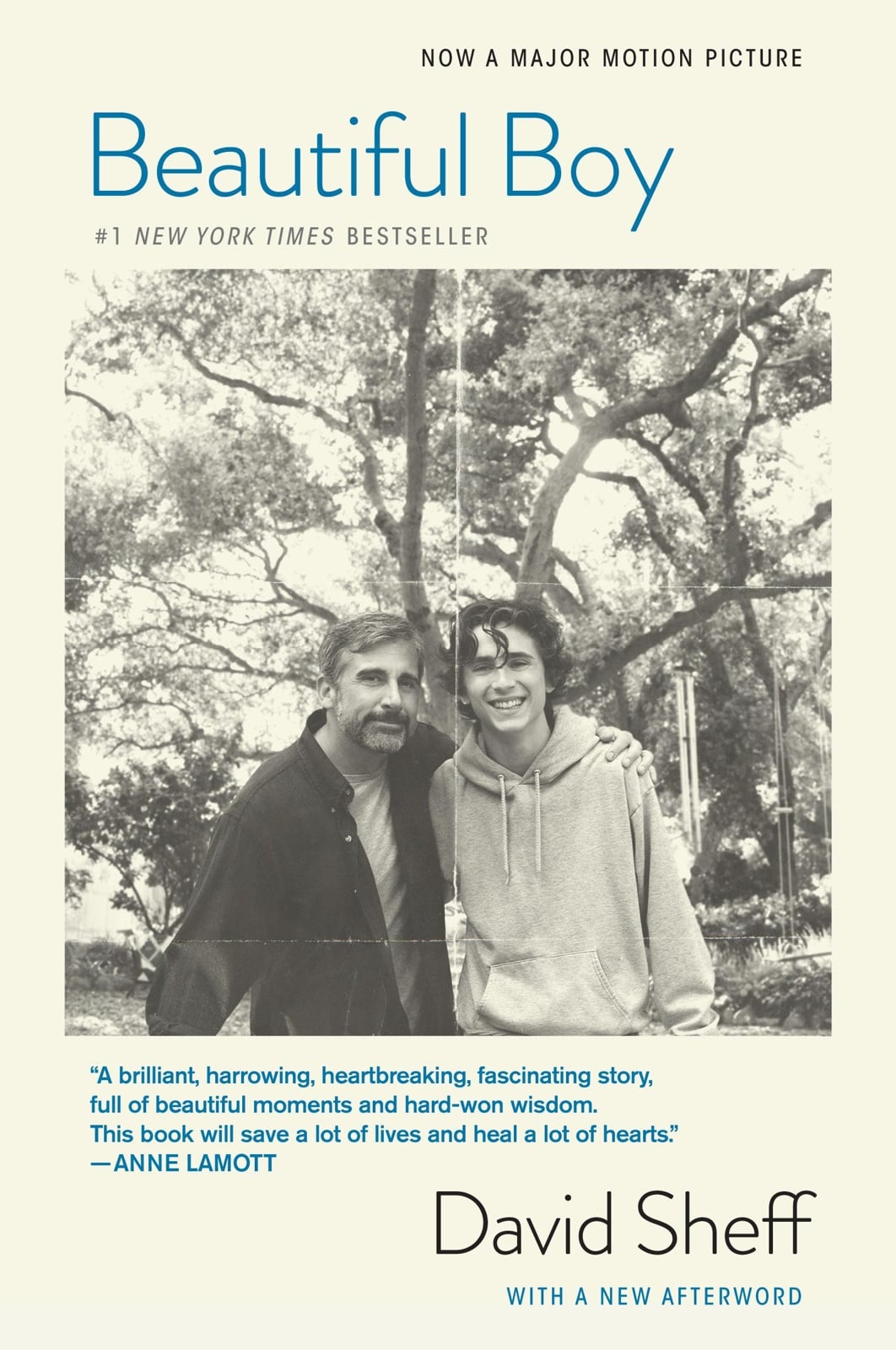 Beautiful Boy: A Father's Journey Through His Son's Addiction - Cover