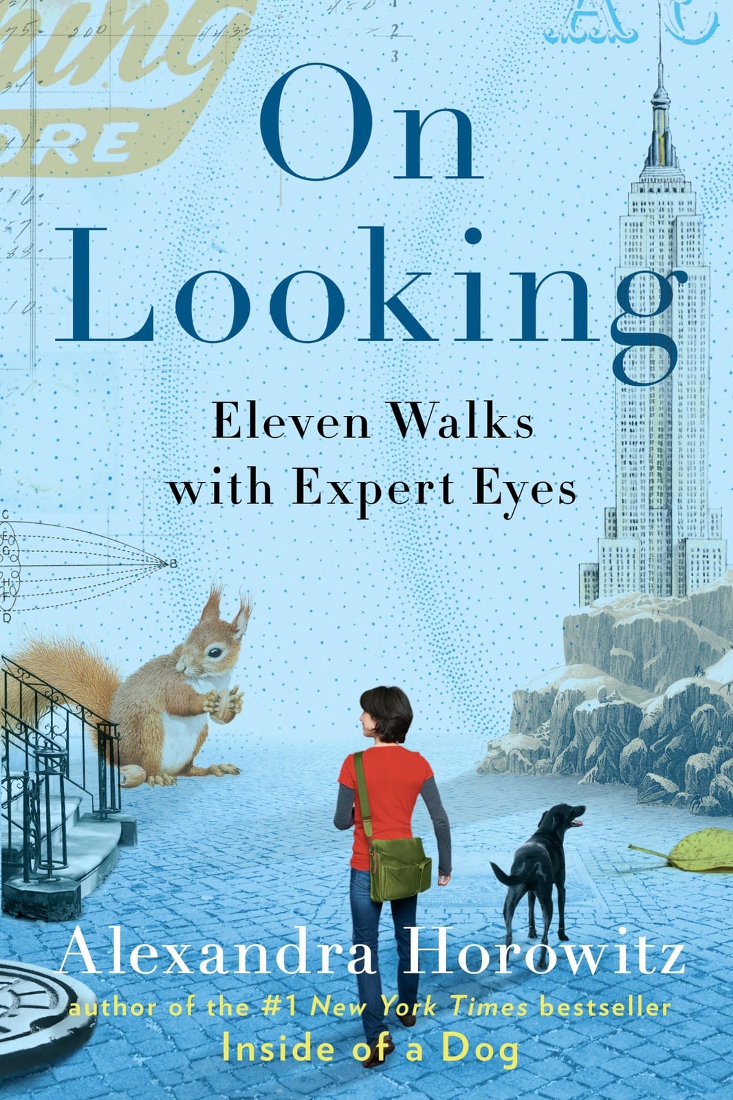 On Looking - Cover