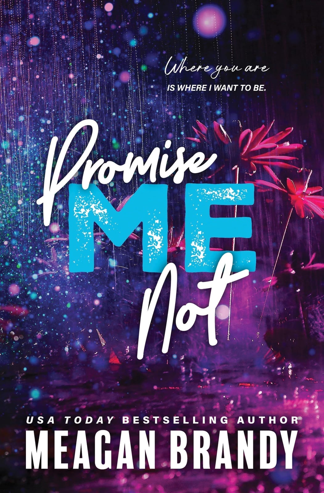 Promise Me Not - Cover