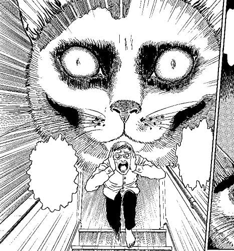 Junji Ito's Cat Diary: Yon & Mu Collector's Edition - Cover