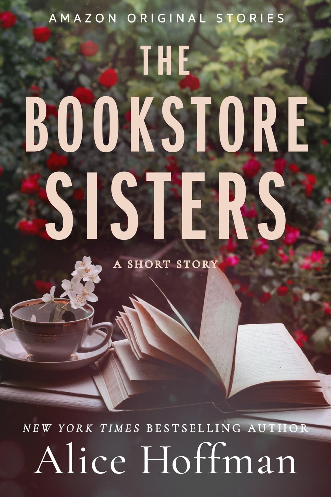 The Bookstore Sisters - Cover