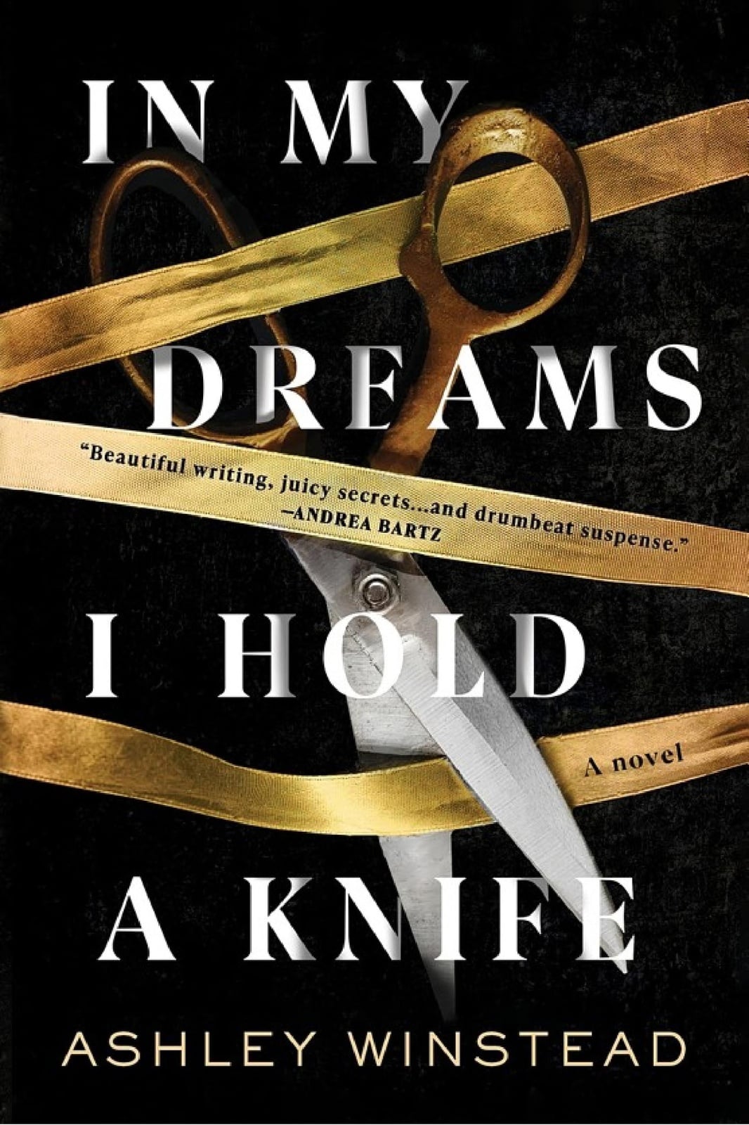 In My Dreams I Hold a Knife - Cover