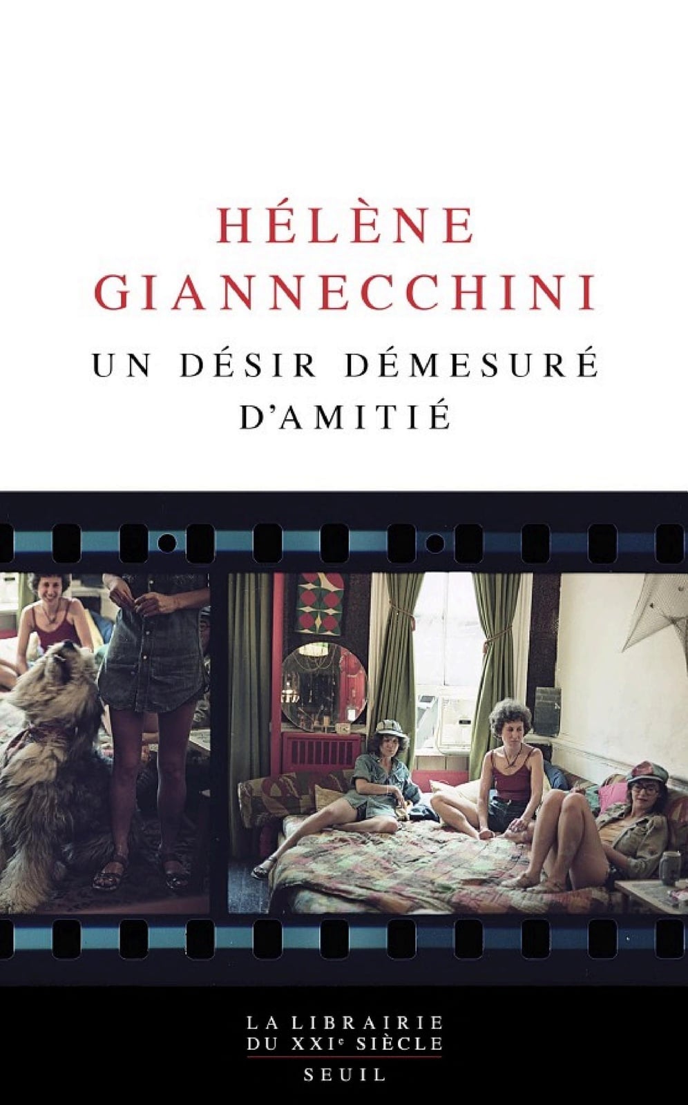 Un désir démesuré d'amitié - Cover