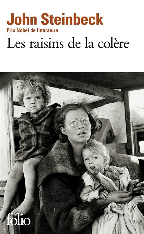 Raisins de La Colere (Folio) (French Edition) - Cover