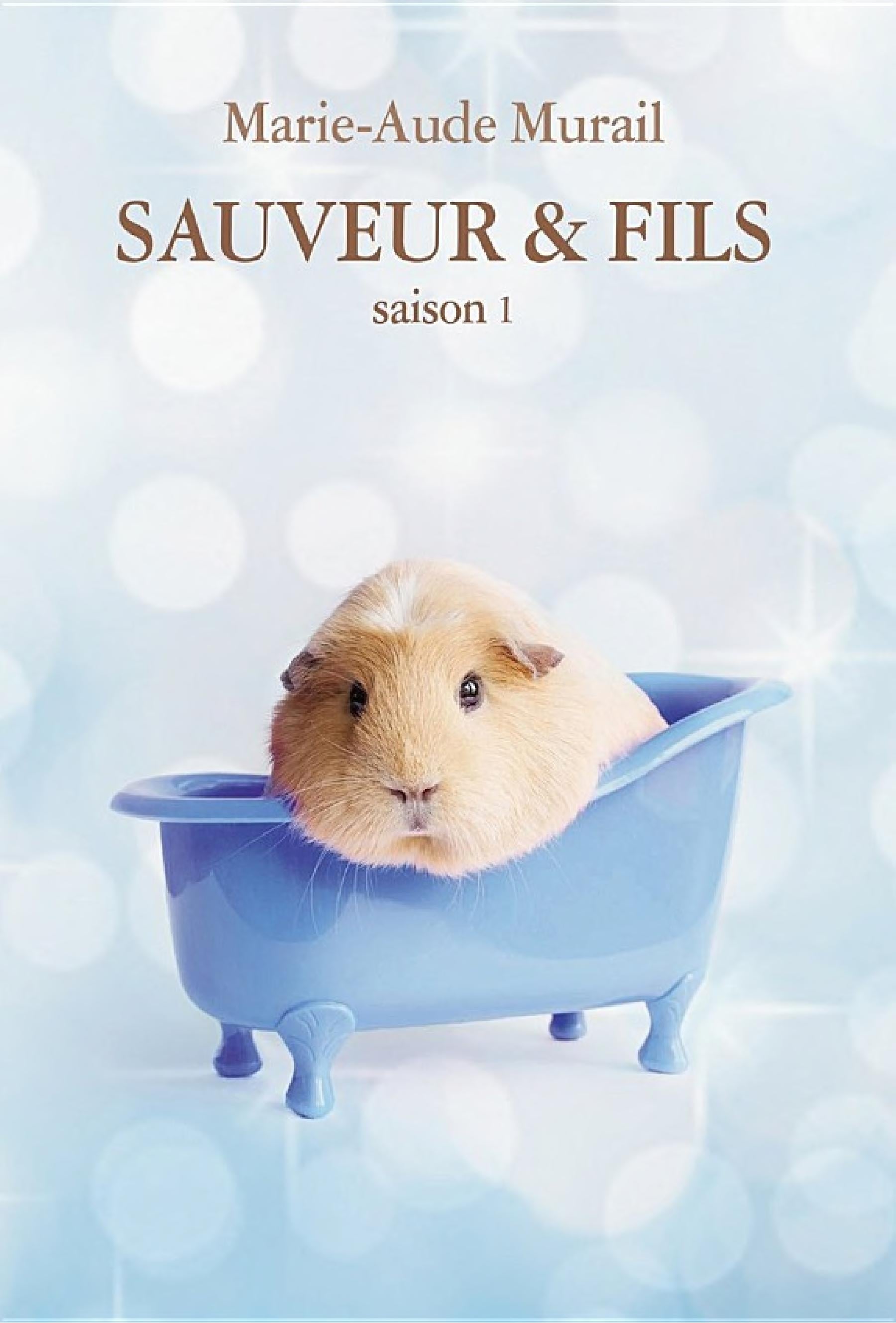 Sauveur & Fils, Saison 1 - Cover