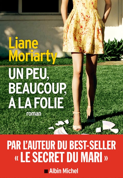 Un peu, beaucoup, à la folie - Cover