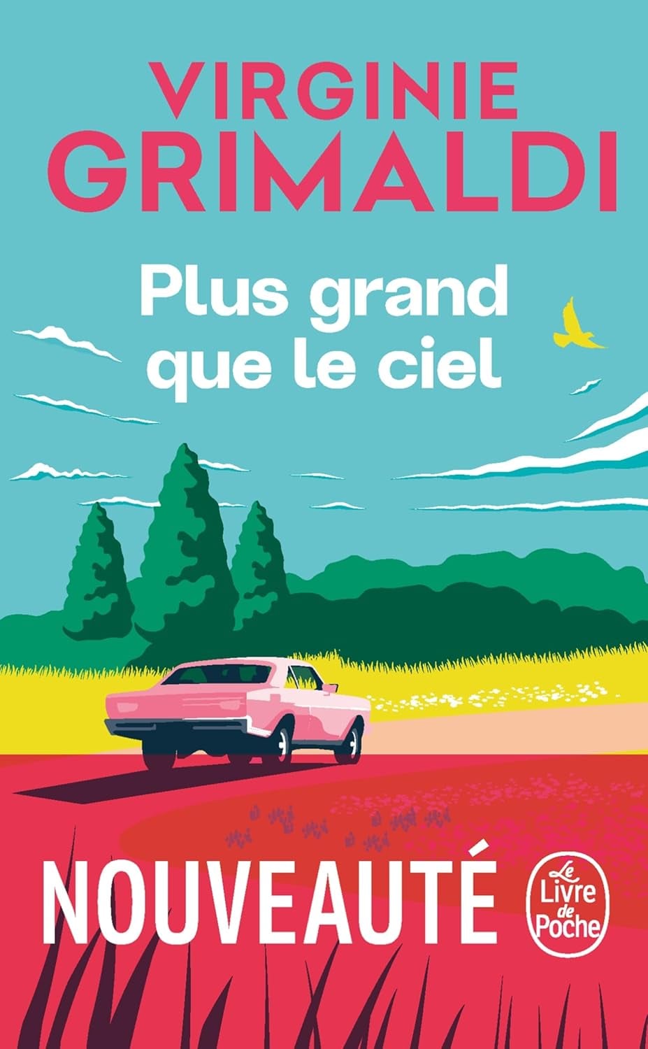 Plus grand que le ciel - Cover