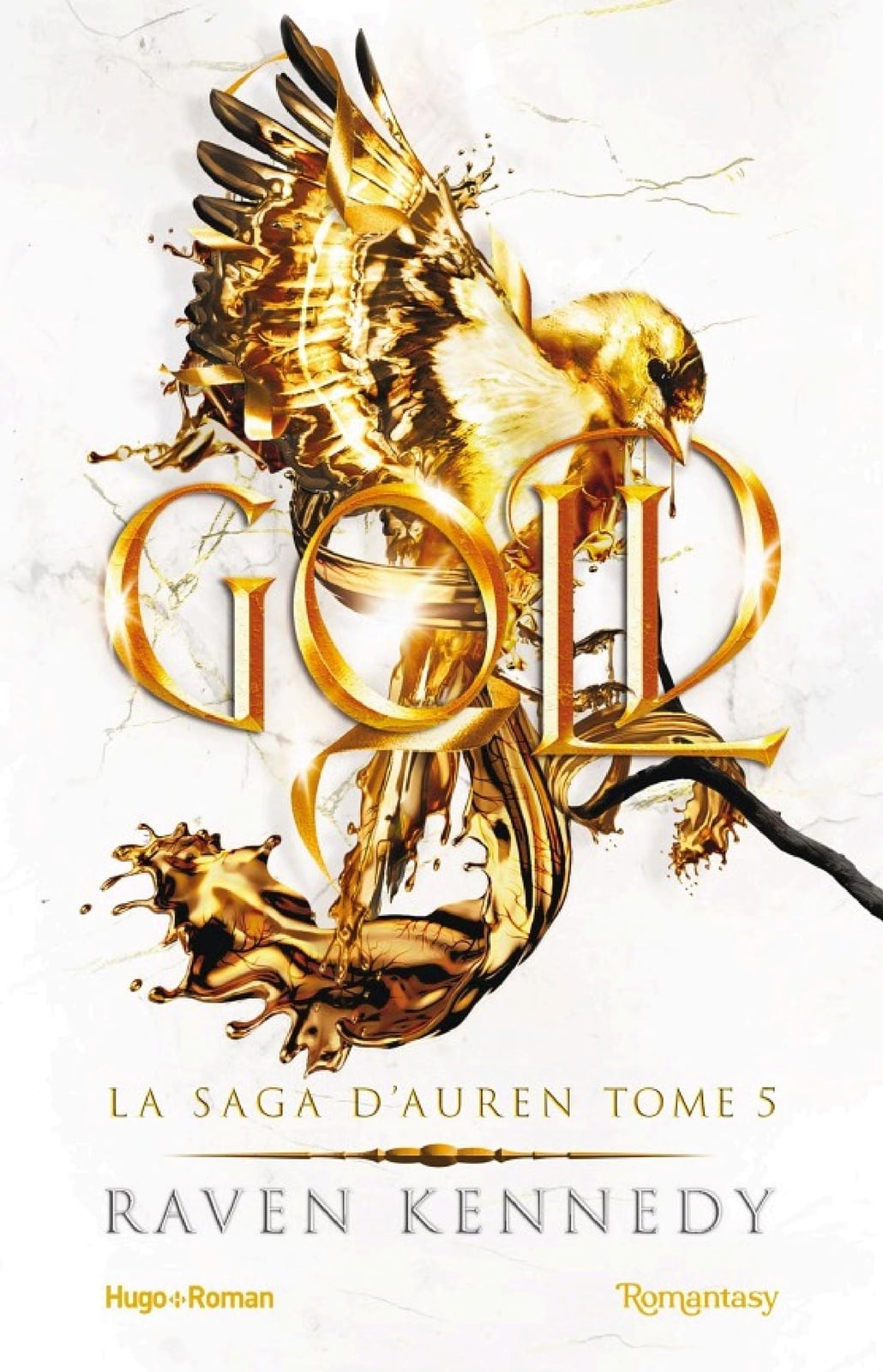 La saga d'auren - Tome 5 - Cover