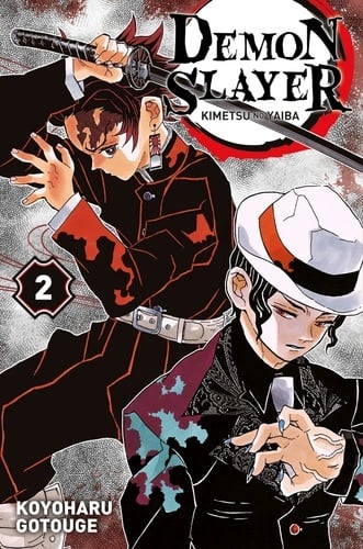 Demon Slayer T02 - Cover