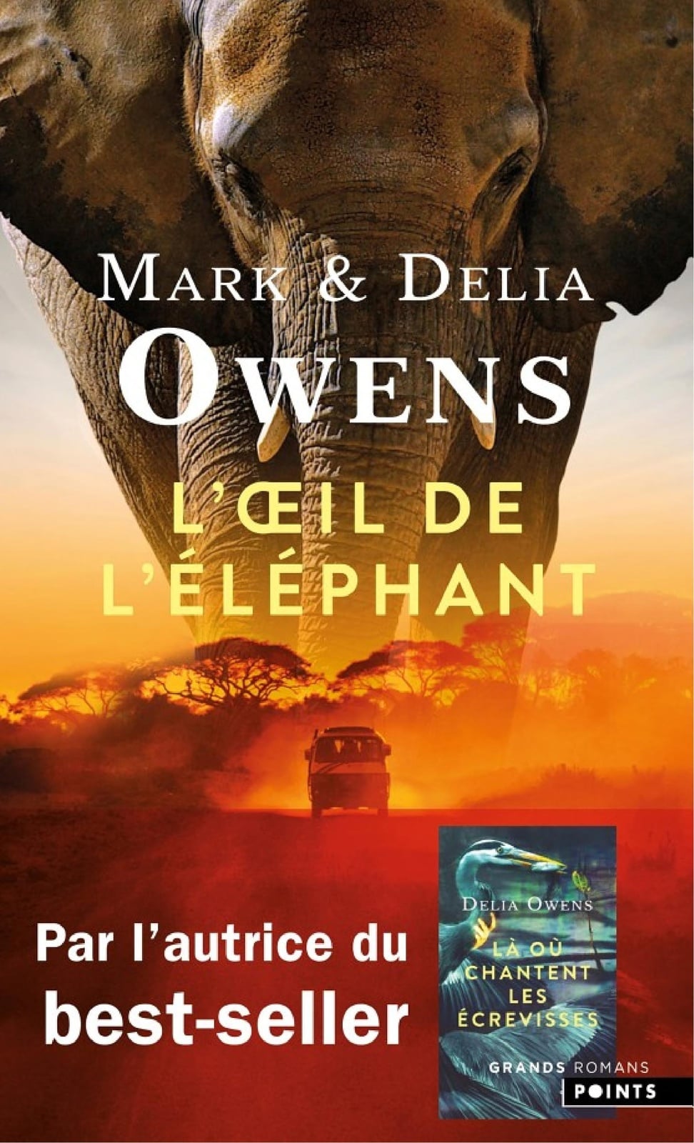 L'Œil de l'éléphant - Cover