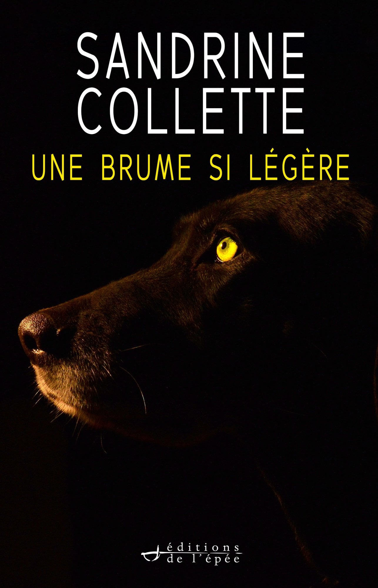 Une brume si légère - Cover