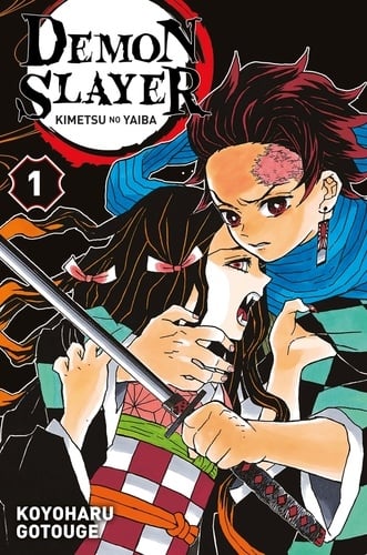 Demon Slayer T01 - Cover