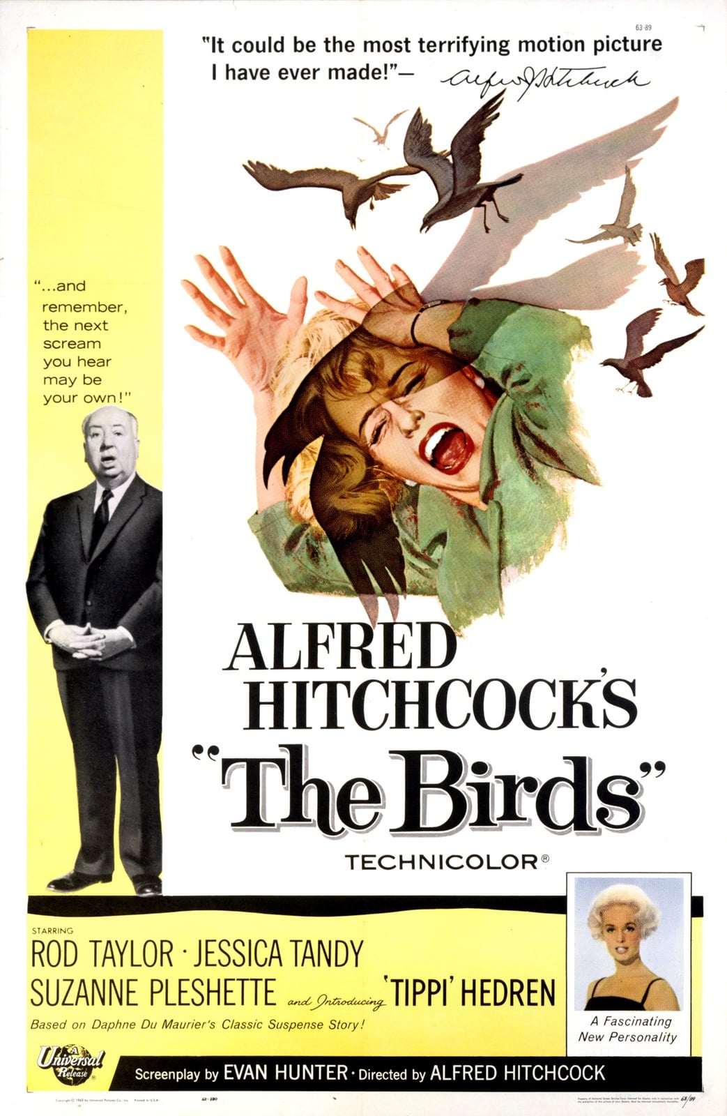 The Birds - Cover