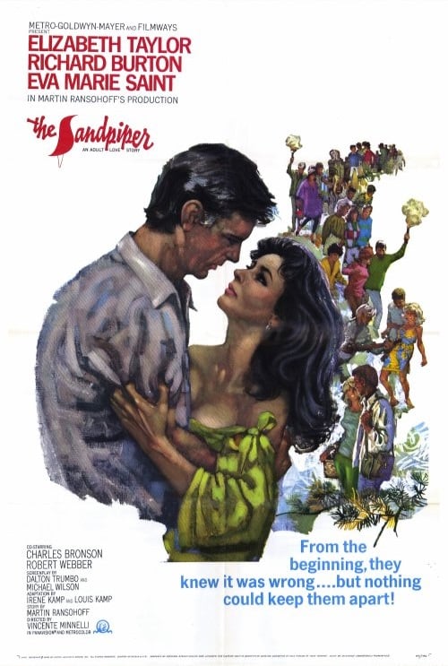 The Sandpiper - Cover