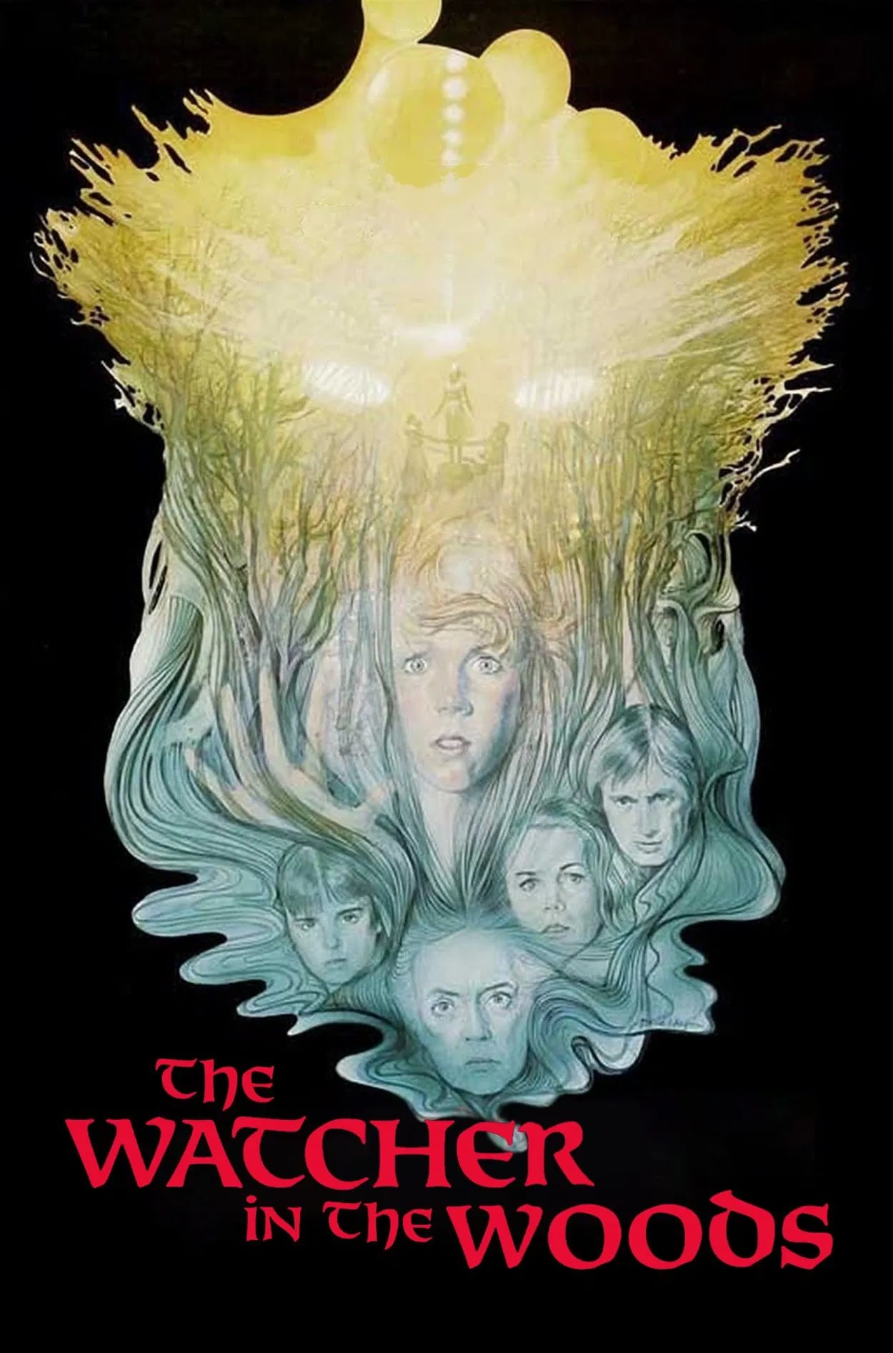 The Watcher in the Woods - Cover