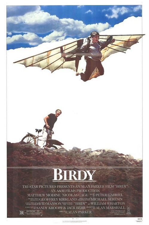 Birdy - Cover