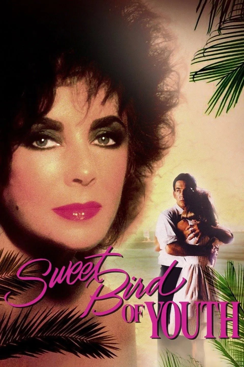 Sweet Bird of Youth - Cover