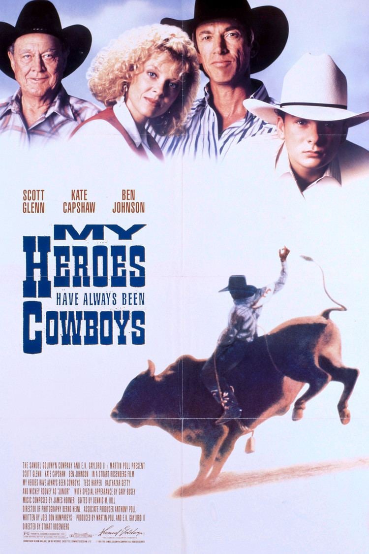My Heroes Have Always Been Cowboys - Cover