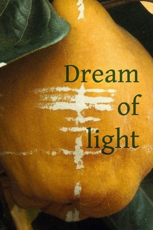 Dream of Light - Cover