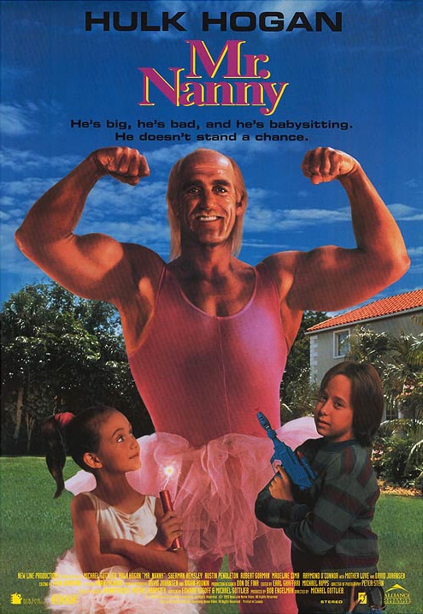 Mr. Nanny - Cover