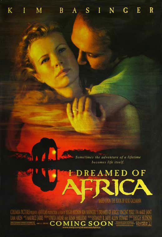 I Dreamed of Africa - Cover