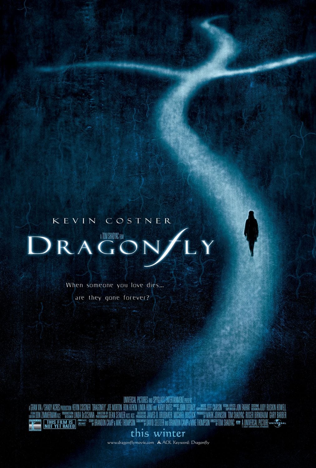 Dragonfly - Cover