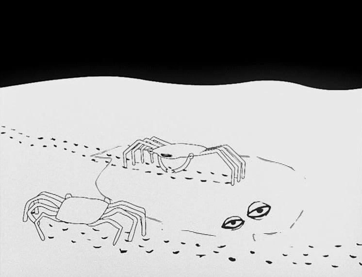 The Revolution of the Crabs - Cover