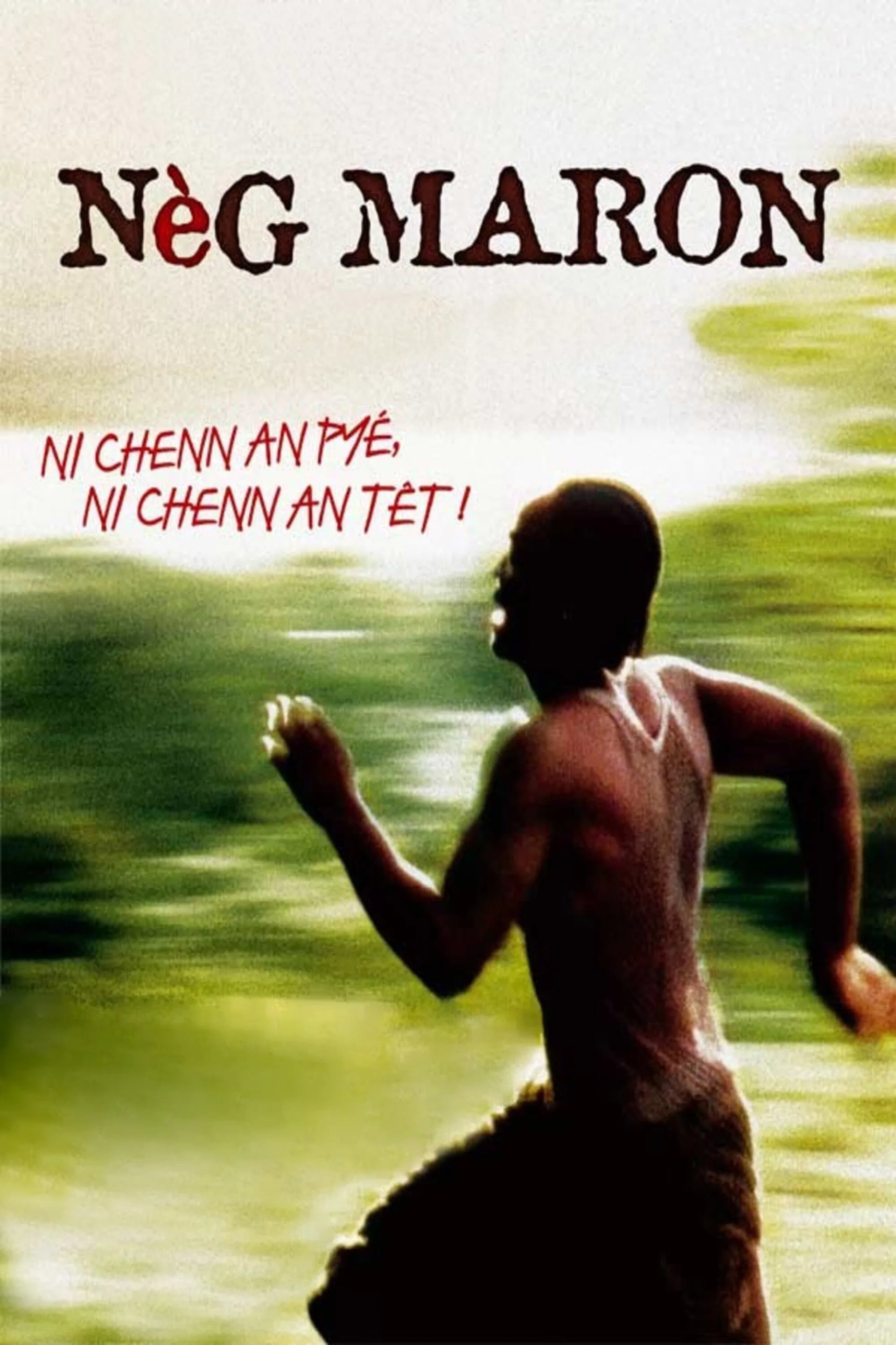 Nèg maron - Cover