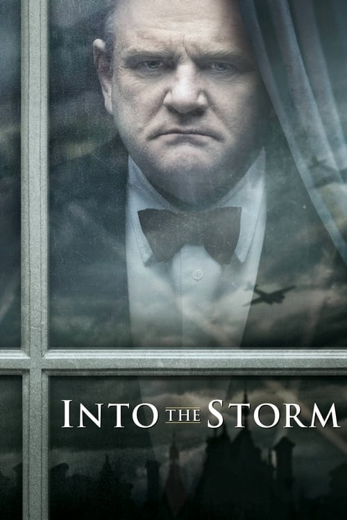 Into the Storm - Cover