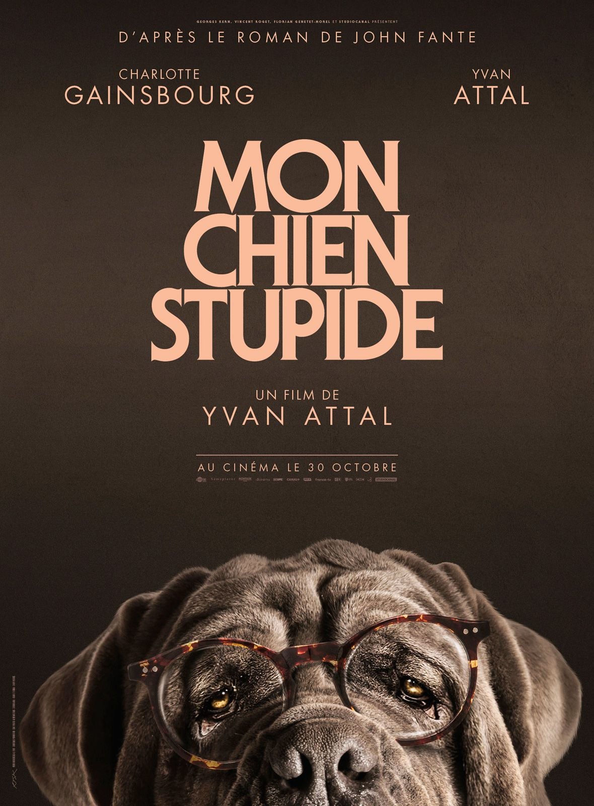 My Dog Stupid - Cover