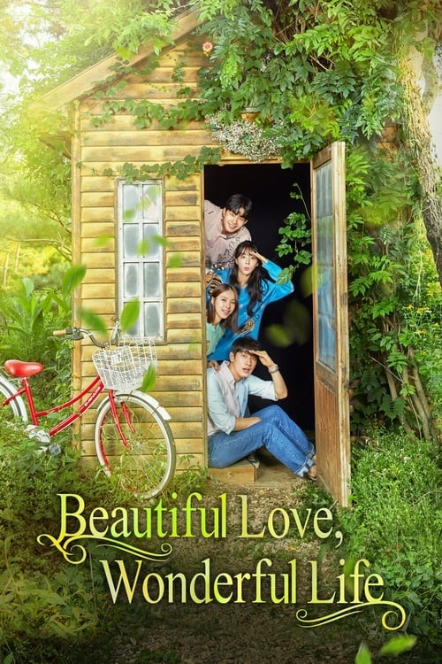 Beautiful Love, Wonderful Life - Cover