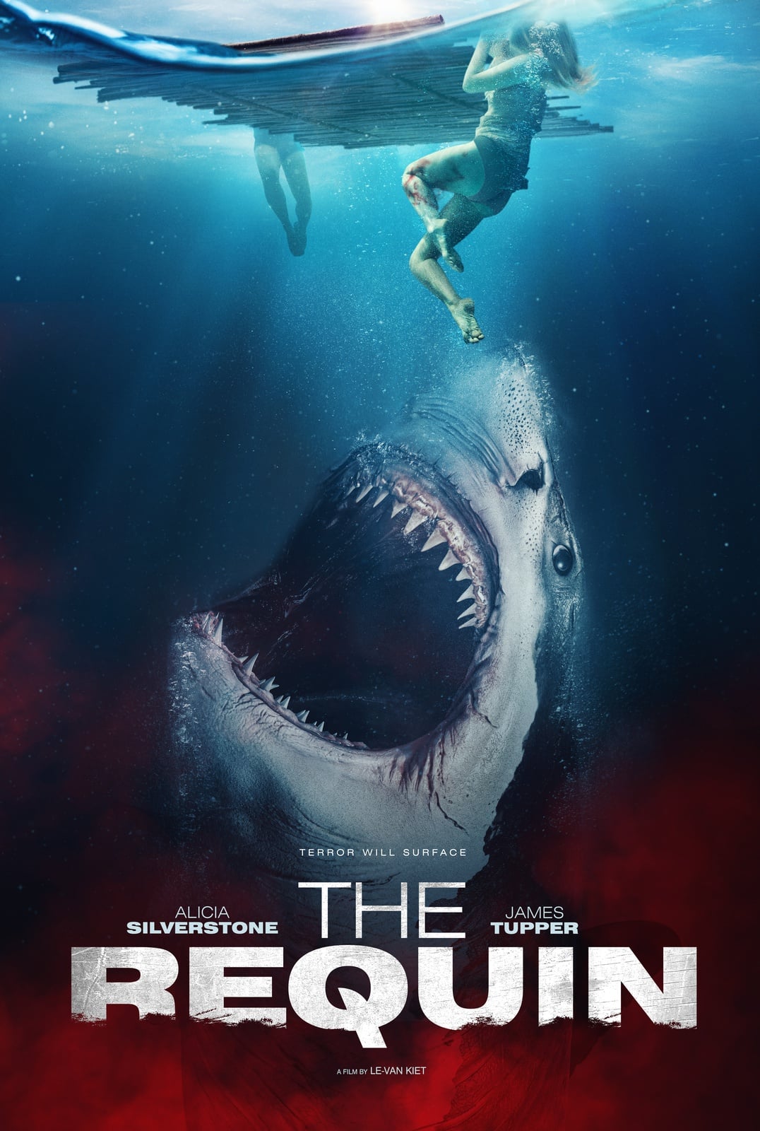 The Requin - Cover