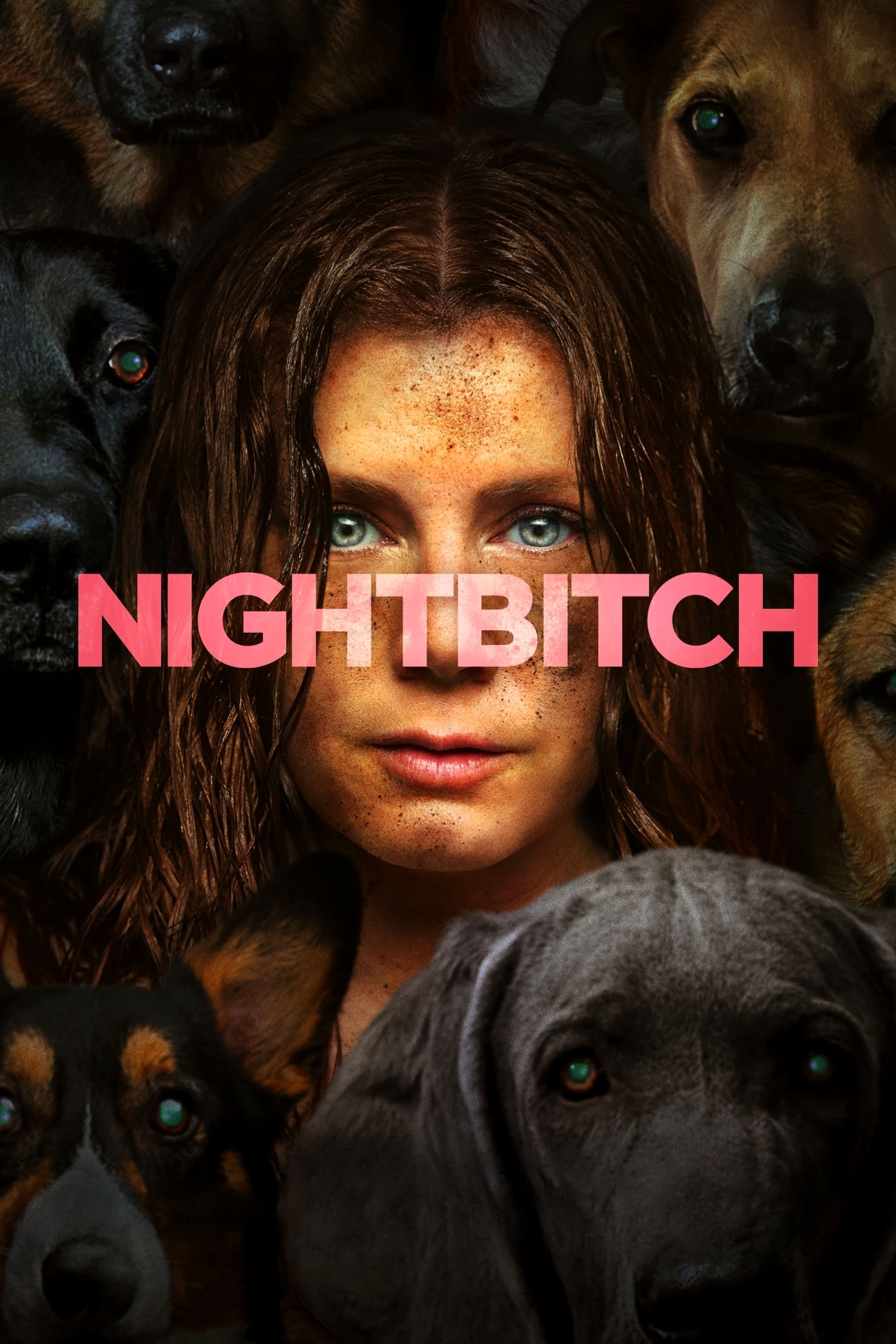 Nightbitch - Cover