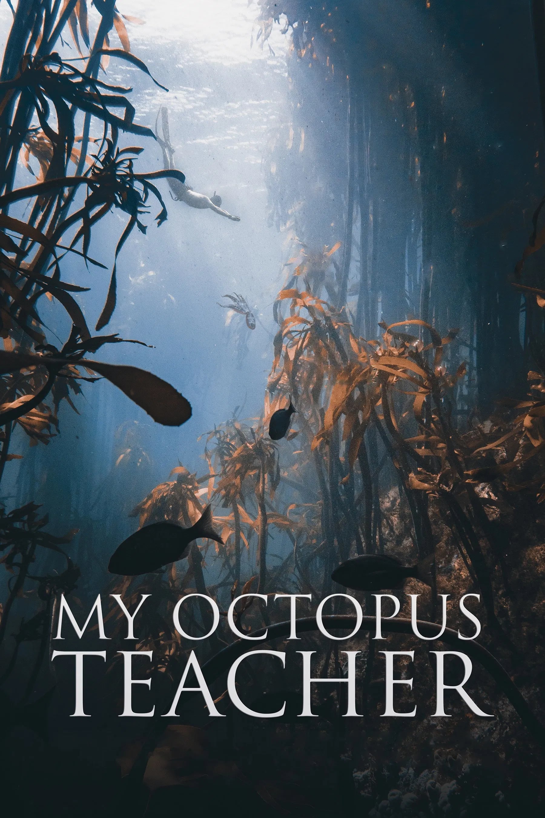 My Octopus Teacher - Cover