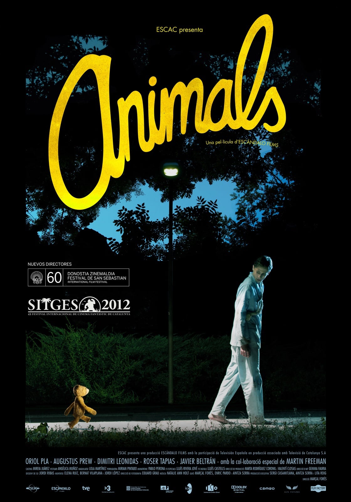 Animals - Cover
