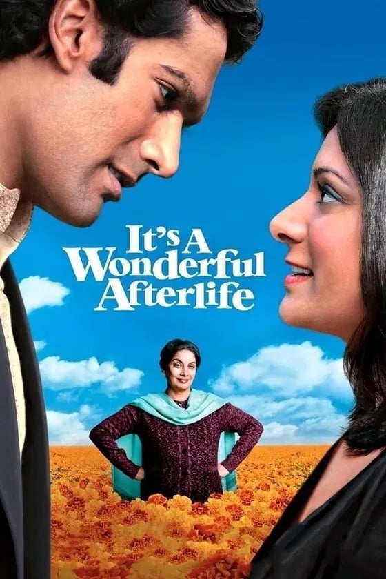 It's a Wonderful Afterlife - Cover