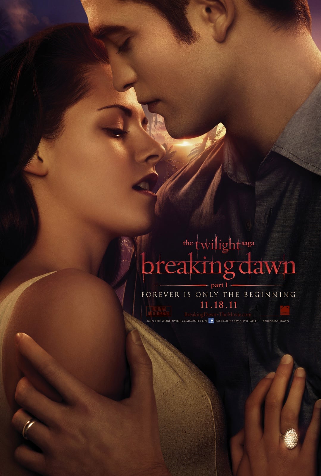 The Twilight Saga: Breaking Dawn - Part 1 - Cover