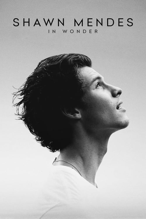 Shawn Mendes: In Wonder - Cover